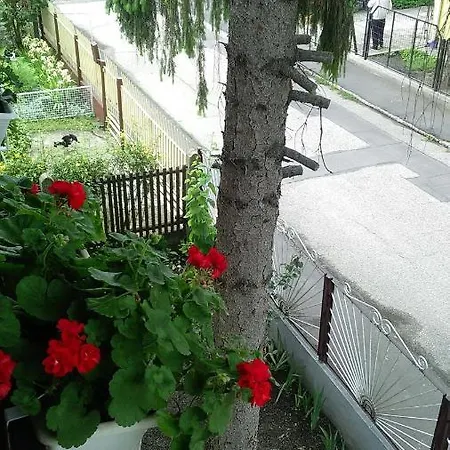 Szieszta Vendeghaz Pensjonat *