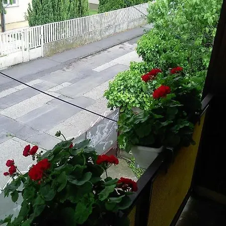 Szieszta Vendeghaz Pensjonat